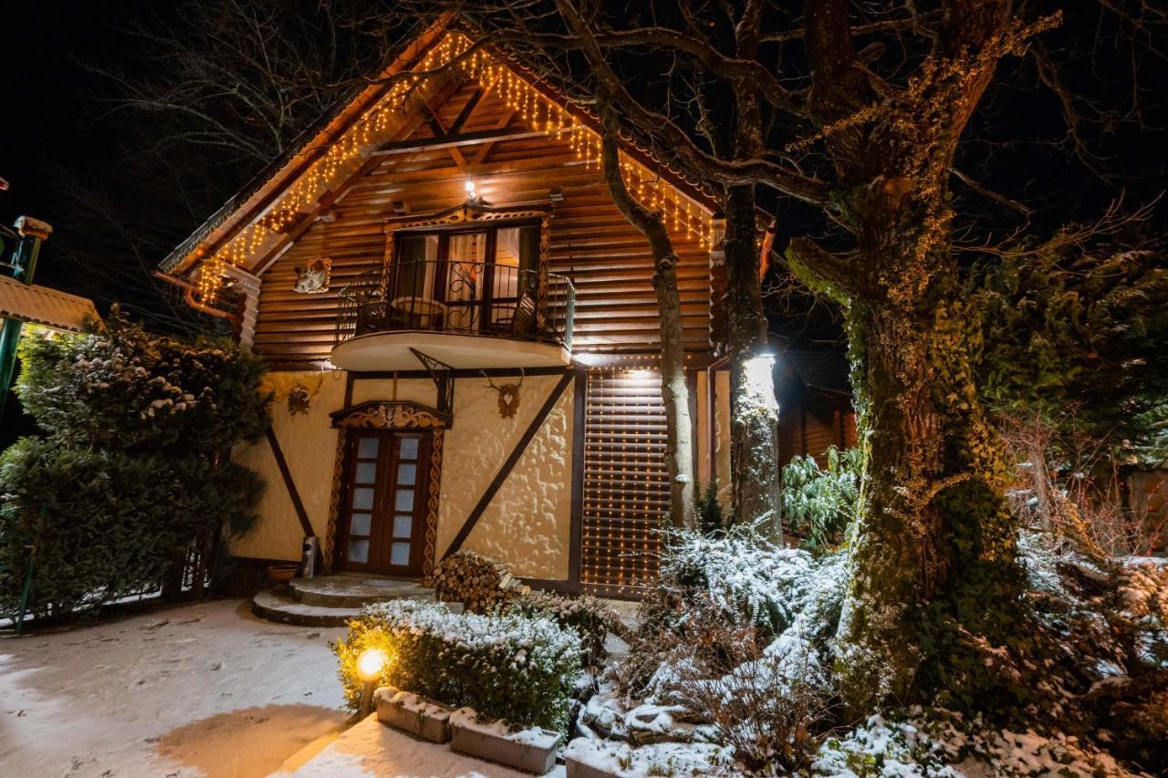 Villa Garden Hotel Solochyn Eksteriør billede