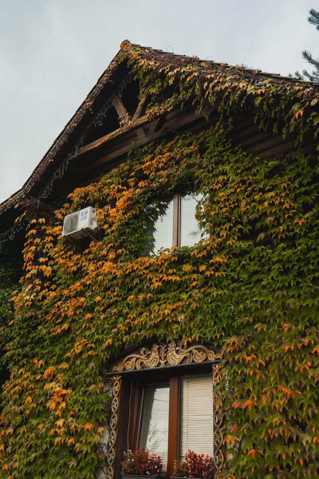 Villa Garden Hotel Solochyn Eksteriør billede