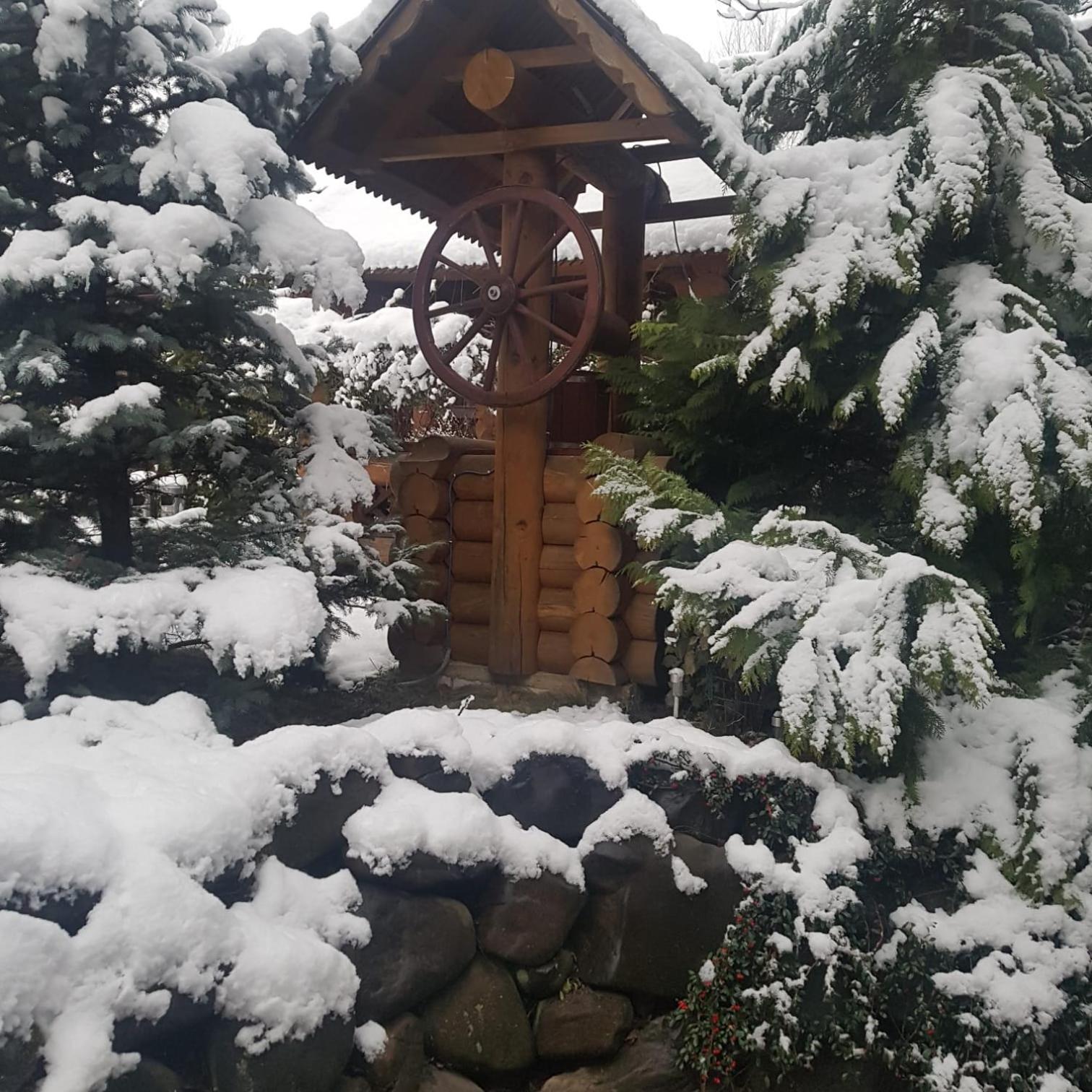 Villa Garden Hotel Solochyn Eksteriør billede