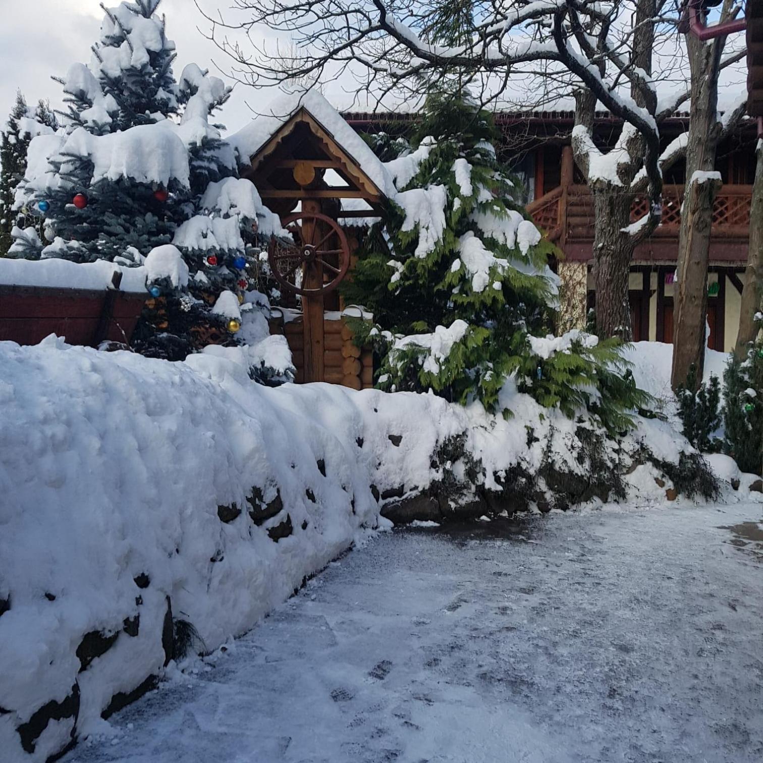 Villa Garden Hotel Solochyn Eksteriør billede